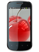 Best available price of Celkon A19 in Fiji