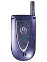 Best available price of Motorola V66i in Fiji